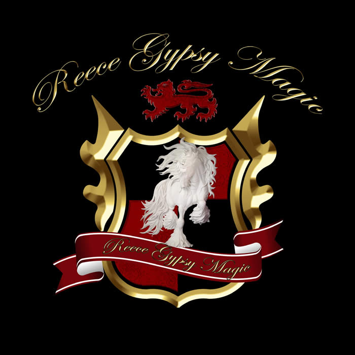 champion miniature Gypsy horse stallion